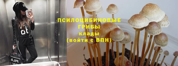 метадон Вяземский
