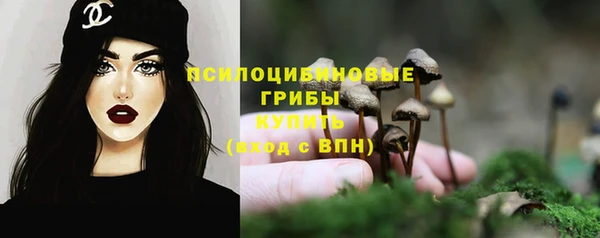 метадон Вяземский