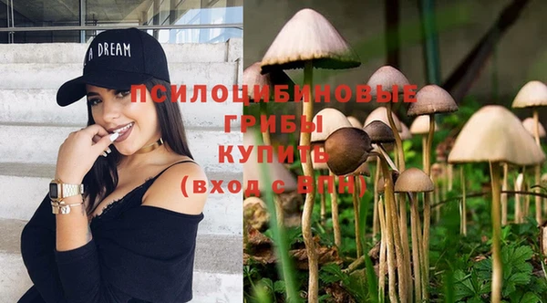 соль курить ск Вязьма
