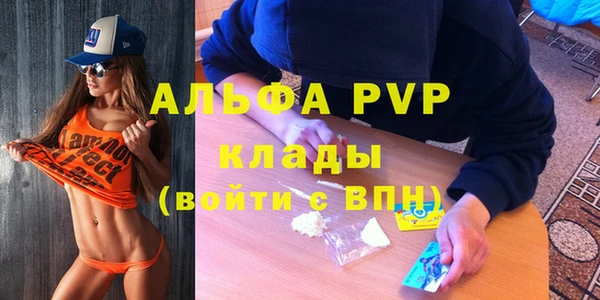 сатива Михайлов