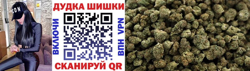 Каннабис сатива Иланский